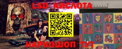 стафф Славгород